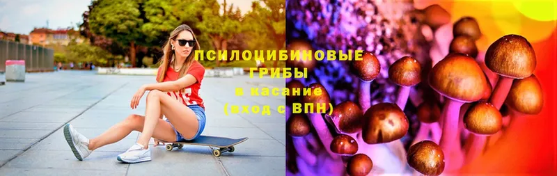 Галлюциногенные грибы MAGIC MUSHROOMS  где найти   Жуков 